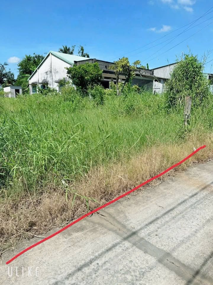 Đất thổ cư hẻm 262 đường 827 A, Tân An 360.4m² giá 1.8 tỷ - Thương lượng ngay!