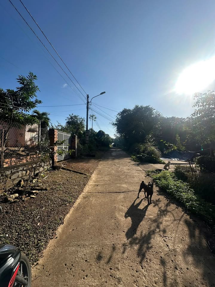 Đất nền Hòa Phú Buôn Ma Thuột 120m² giá 1.3 tỷ - Đầu tư sinh lời nhanh chóng!