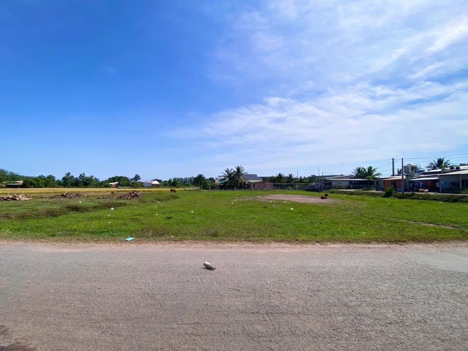 Đất vườn 1008m² Gò Dầu Tây Ninh giá 1.7 tỷ - Mặt tiền nhựa lớn, đầu tư sinh lời!