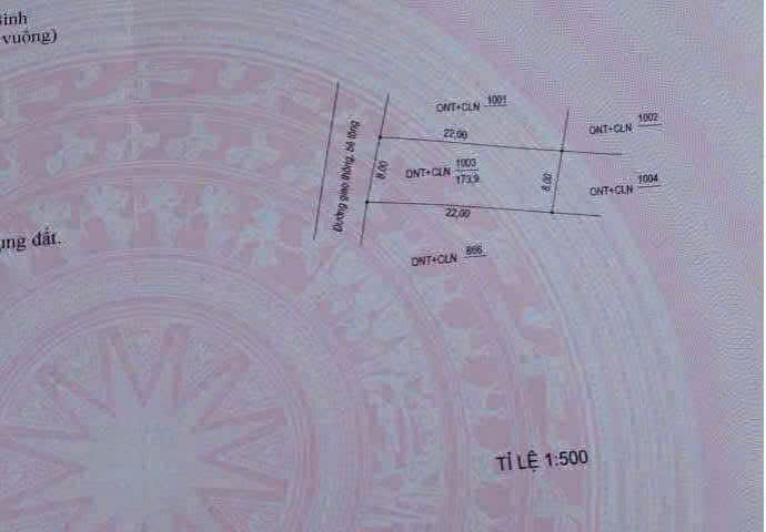 Bán gấp FrontHouse mặt tiền Trần Táo Lộc Ninh 50m² giá 1.85 tỷ - Kinh doanh thuận lợi!