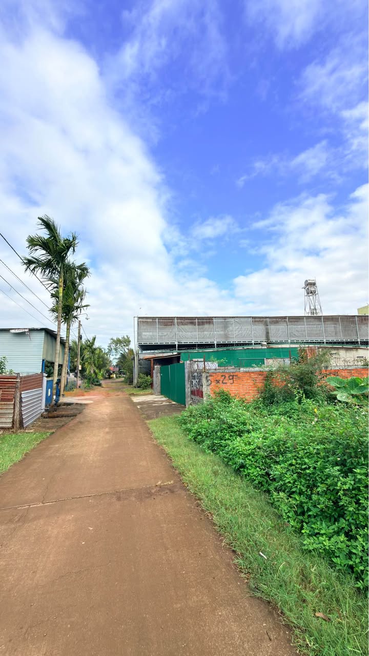 Đất thổ cư tại Thôn 1, Cư Suê, Cư M'gar, Đắk Lắk 145m² giá 1.1 tỷ - Cơ hội đầu tư tốt!