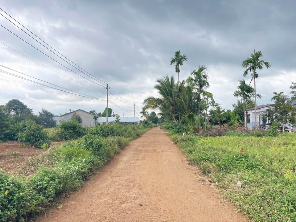 Đất thổ cư Hòa Đông 150m² giá 600 triệu - Sổ hồng chính chủ, bớt lộc!