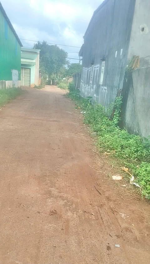 Đất nền chính chủ tại Tân Lợi, Buôn Ma Thuột - Sổ đỏ từng m², giá chỉ 925 triệu!