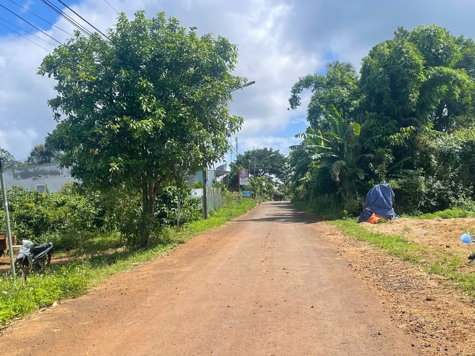 Đất mặt tiền đường nhựa Liên Tỉnh, xã Ea Kao, 600m² - Dân cư đông đúc, giá chỉ 1.35 tỷ!