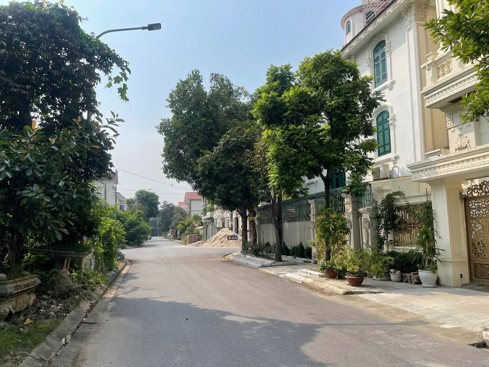 Bán lô góc biệt thự Đại Hoàng Long 256m² - Vị trí đắc địa, giá thỏa thuận!