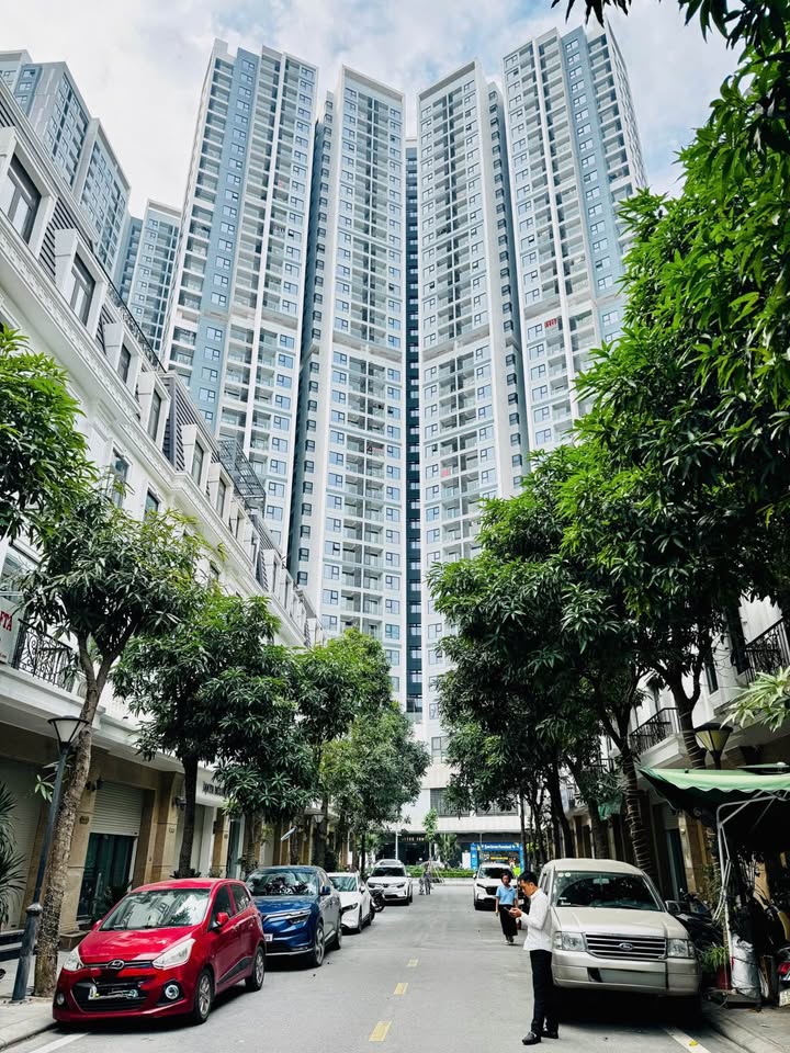 Shophouse 4 tầng Lê Chân 79m² giá 12 tỷ - Tiềm năng cho thuê 50 triệu/tháng!