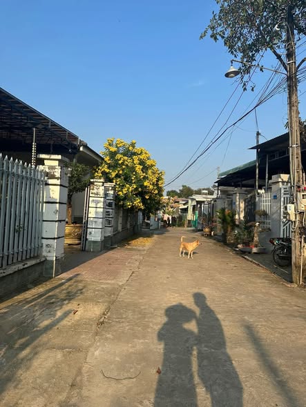 Đất nền Tân Đồng Đồng Xoài 150m² giá 700 triệu - Cơ hội đầu tư tuyệt vời!