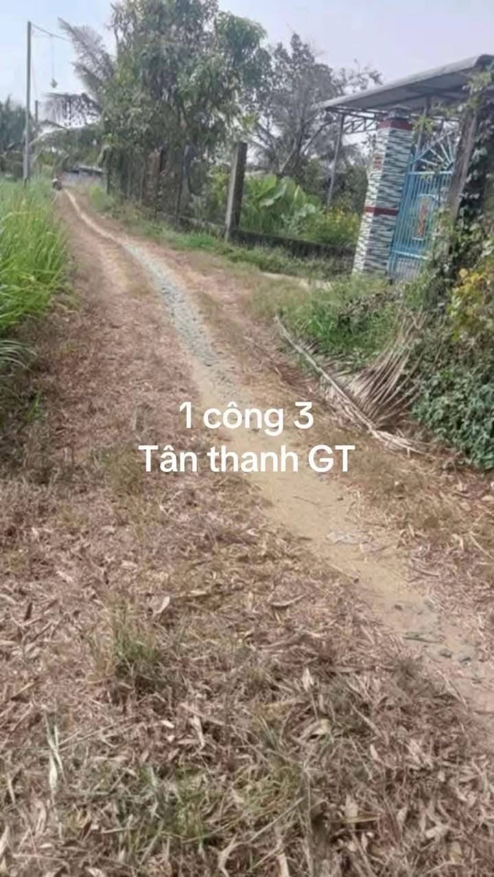 Đất nền Hưng Nhượng, Giồng Trôm 1300m² giá chỉ 1.138 tỷ - Góc 2 mặt tiền, sổ đỏ chính chủ!