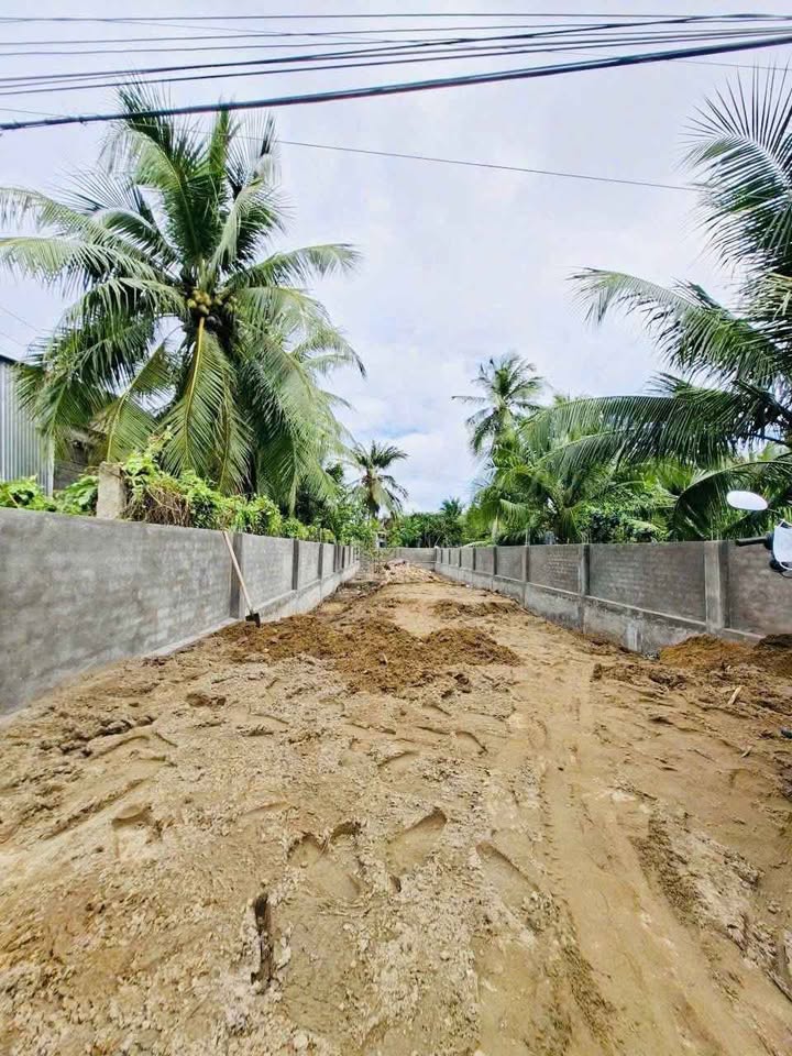 Đất nền mặt tiền lộ Cầu Nhà Việc Phú Nhuận Bến Tre 225m² giá 1.75 tỷ - Tiềm năng đầu tư lớn!