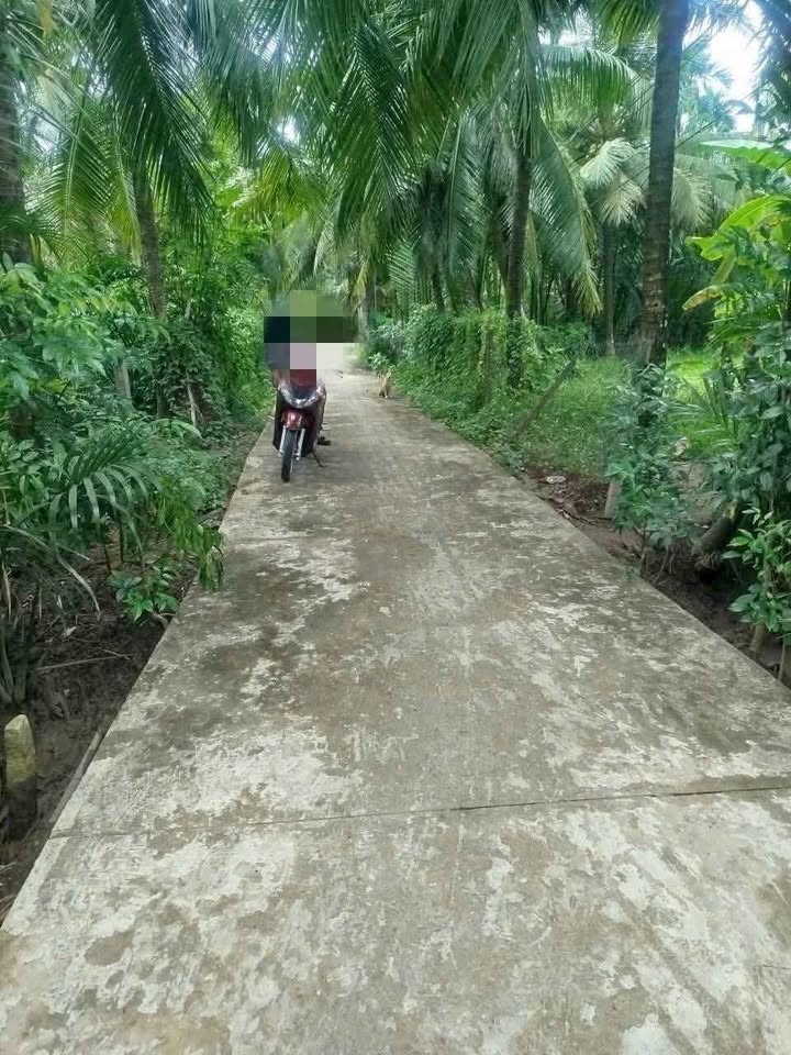 Đất vườn Lương Quới, Giồng Trôm, Bến Tre 4.300m² - Giá chỉ 1.62 tỷ!