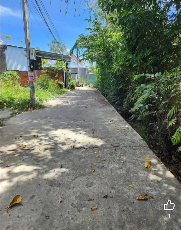 Đất nền hẻm Hữu Định, Phú Tân, Bến Tre 100m² giá 490 triệu - Sẵn sàng sang tên ngay!