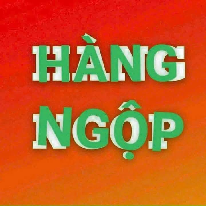 Đất nền Gò Công Tây 315m² giá 295 triệu - Cơ hội đầu tư hấp dẫn!