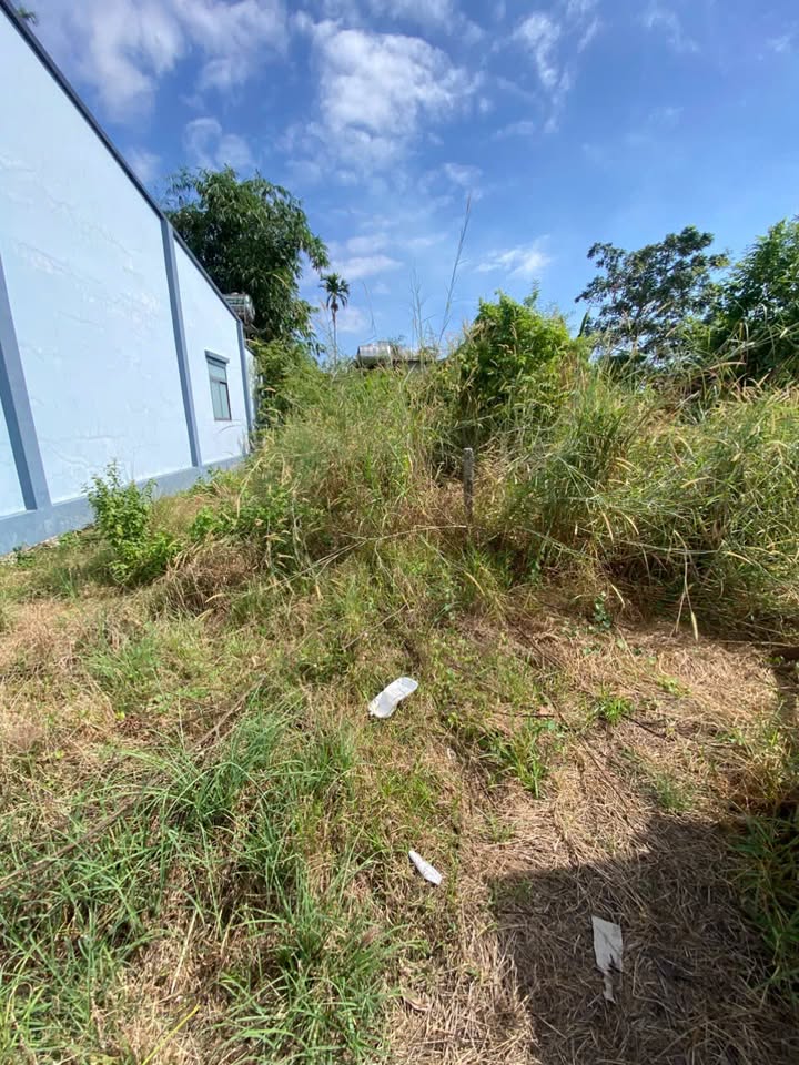 Đất nền Phước Thạnh, Gò Dầu 107,4m² giá 400 triệu - Cơ hội đầu tư không thể bỏ lỡ!