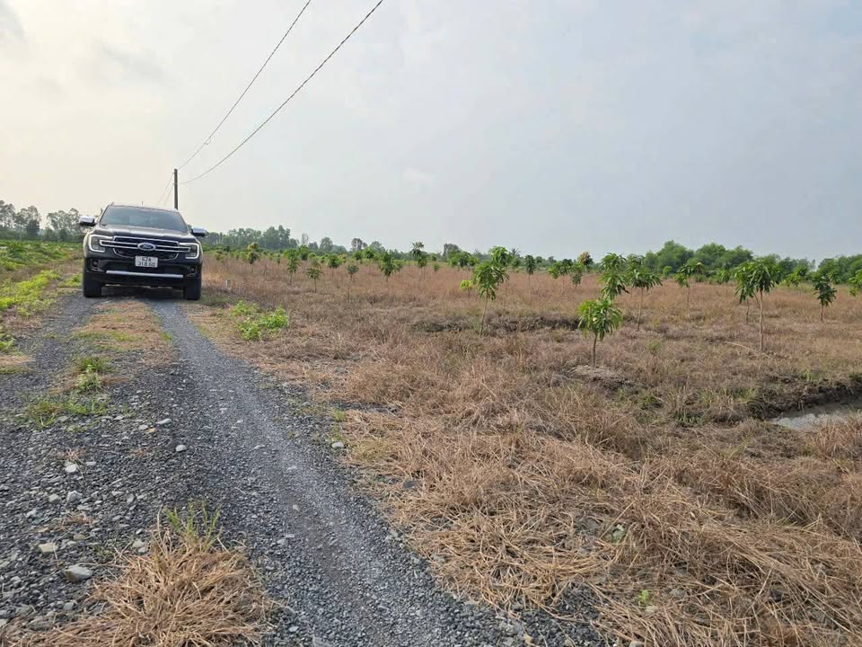 Đất nền Thủ Thừa Long An 1069m² giá chỉ 820 triệu - Đầu tư sinh lời ngay!