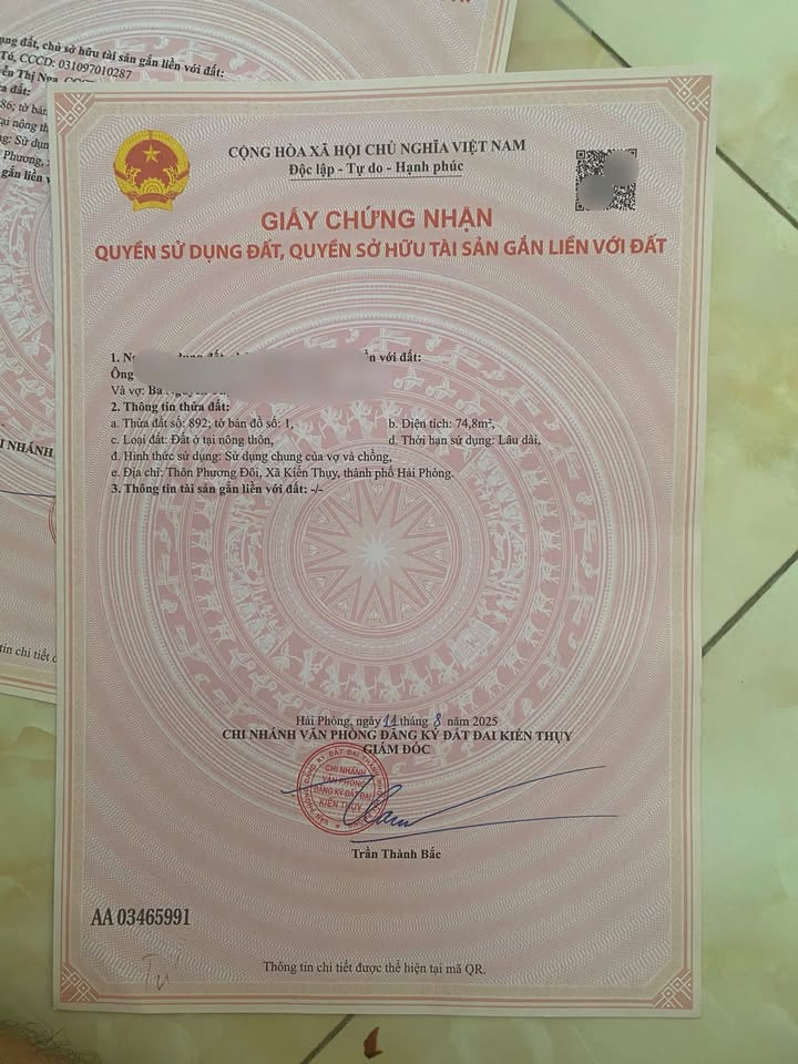 Đất nền Thụy Hương, Kiến Thụy 74m² giá 800 triệu - Đầu tư sinh lời ngay!