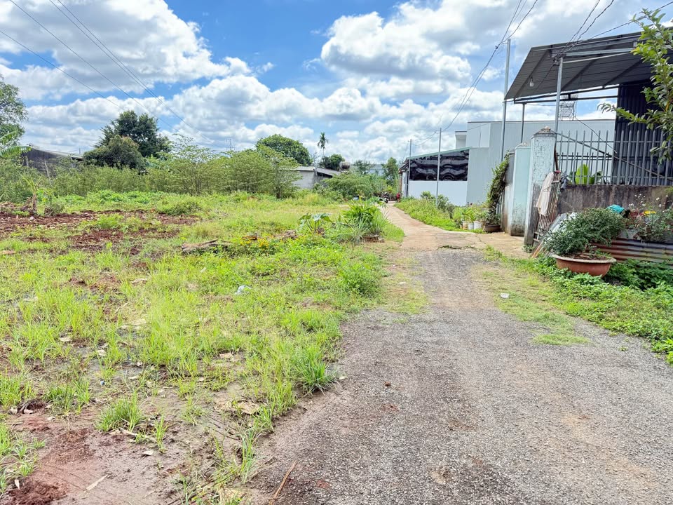 Đất nền Thống Nhất, Pleiku 90m² giá 650 triệu - Bán gấp, pháp lý rõ ràng!