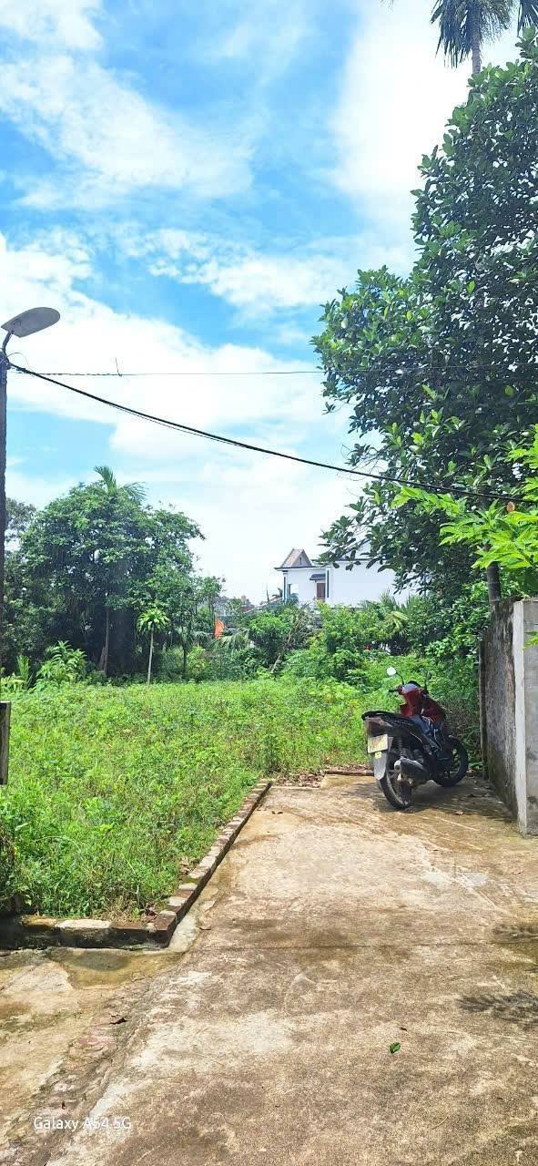 Đất nền thổ cư 247,5m² tại thôn Đông Đô Kỳ, Hưng Hà - Cơ hội đầu tư tuyệt vời!