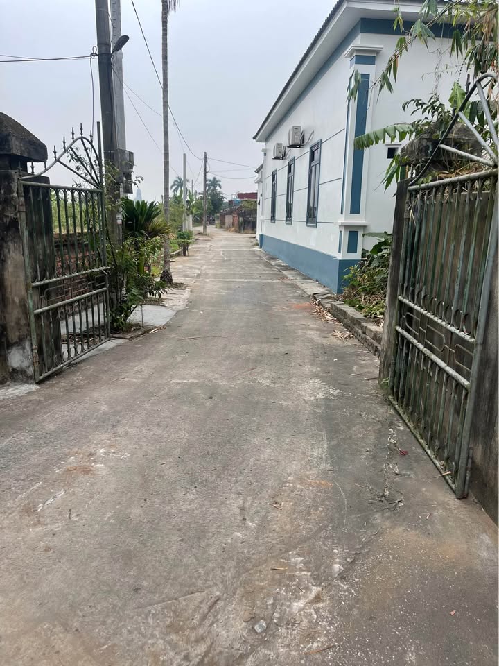 Đất nền Mỹ Lộc Thái Thụy 110m² giá thỏa thuận - Đường ô tô vào tận nơi!