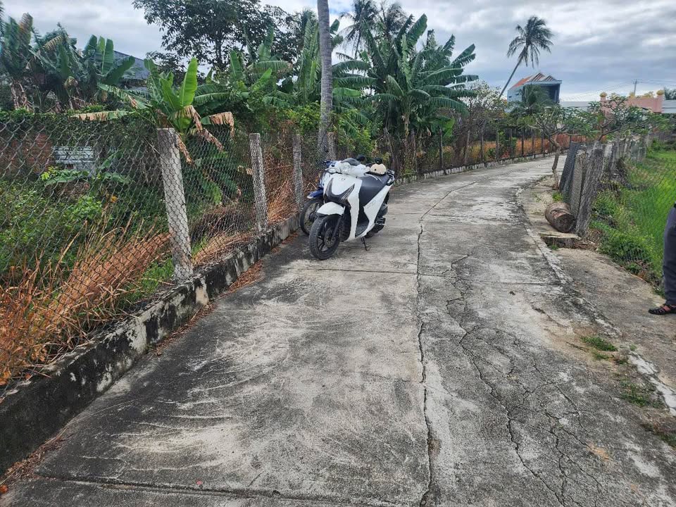 Đất thổ cư 2.968,8m² Thôn Quảng Phước, Vạn Lương chỉ 1,7 triệu/m² - Giá tốt cho đầu tư!