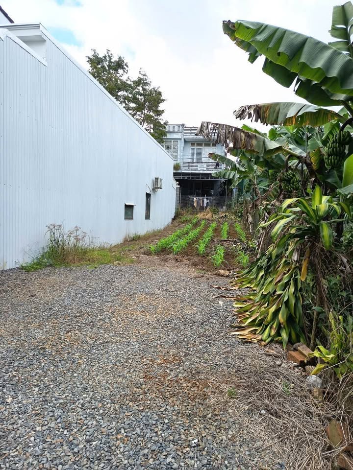 Đất hẻm 79 Nguyễn Bỉnh Khiêm, Phường 2, diện tích 110m², giá 2.35 tỷ - Sổ đỏ chính chủ, xây dựng tự do!