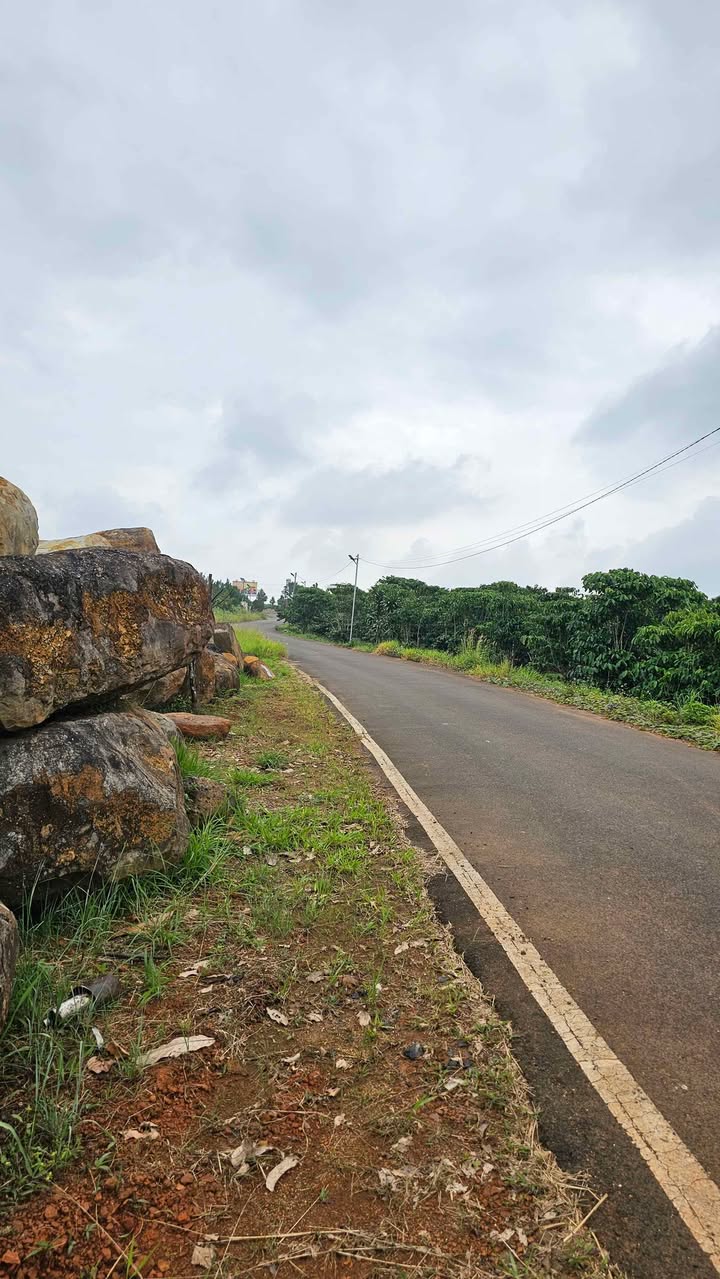 Đất nền Bảo Lộc 10.000m² giá 9 tỷ - Mặt tiền đường QHTC