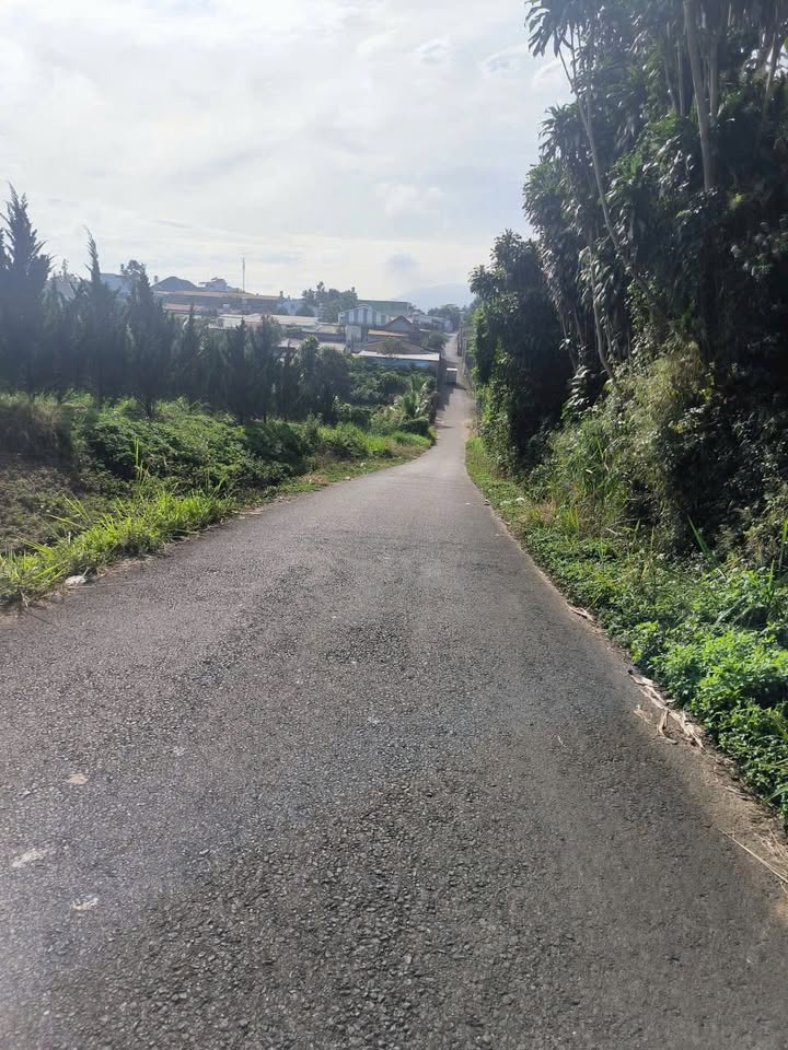 Lô đất nghỉ dưỡng 1600m² tại hẻm Trần Phú, Bảo Lộc - Giá tốt chỉ 8.5 tỷ!