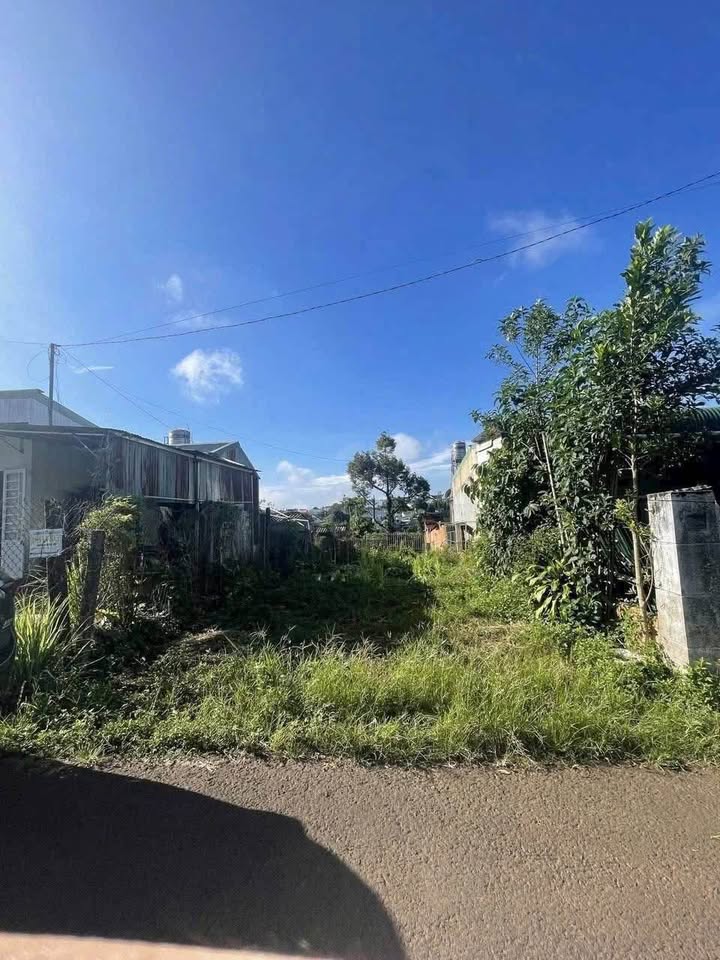 Đất nền Bảo Lộc 198m² giá 2.25 tỷ - Pháp lý rõ ràng, đầu tư sinh lời!