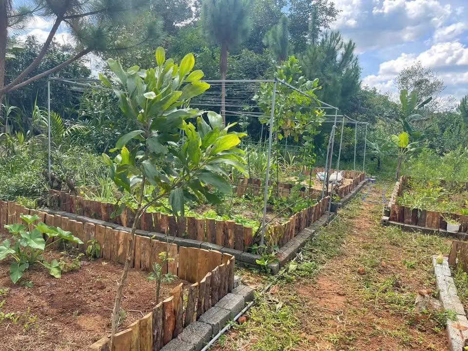 Đất nền Bảo Lộc 1261m² giá 4.25 tỷ - Tiềm năng đầu tư nghỉ dưỡng