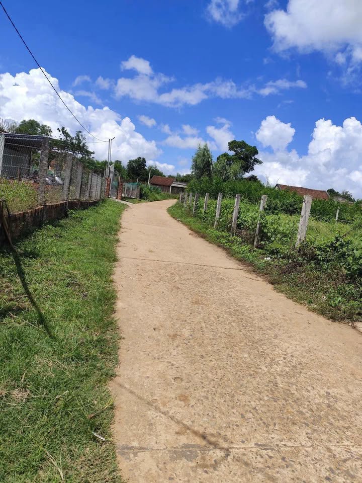 Đất nền Cát Tân Phù Cát 171m² chỉ từ 1xx triệu - Đường bê tông, gần dân cư!