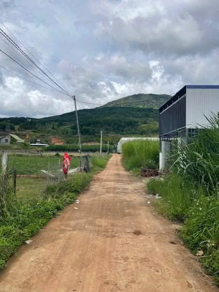 Đất thổ cư Hiệp Thạnh Đức Trọng 180m² giá 1.25 tỷ - Sát chợ Finom!