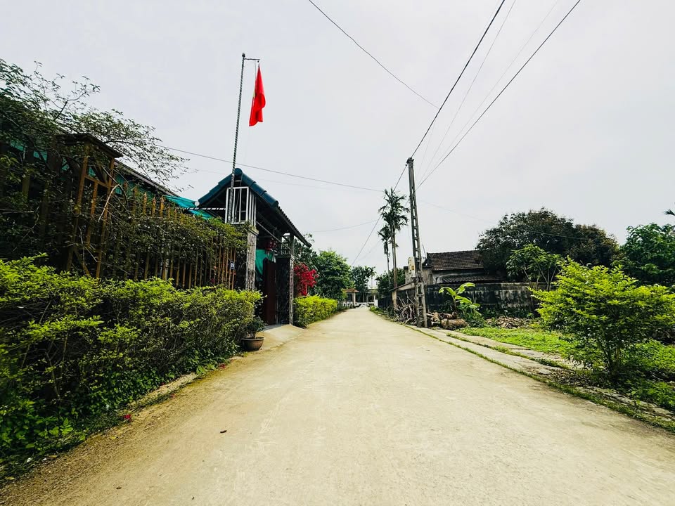 Đất nền khu phố 8, thị trấn Cẩm Xuyên 156m² giá chỉ 1 tỷ - Cơ hội đầu tư hấp dẫn!