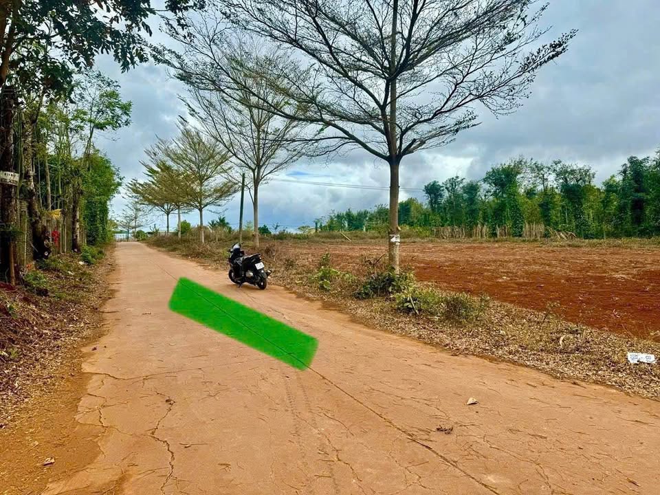 Lô đất liền kề hẻm cấp 1 đường 19/5, xã Ea Tiêu, 192m² giá 585 triệu - Đầu tư lý tưởng!