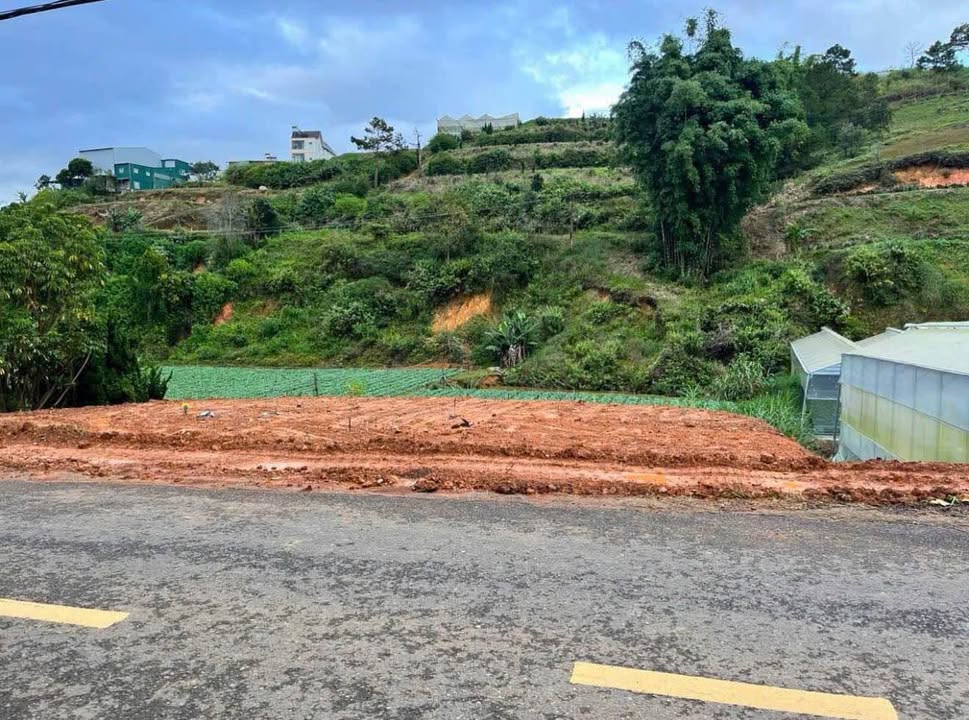 Đất mặt tiền đường nhựa chính Langbiang Đà Lạt 438m² giá chỉ 7,5 tỷ - Cơ hội vàng cho nhà đầu tư!
