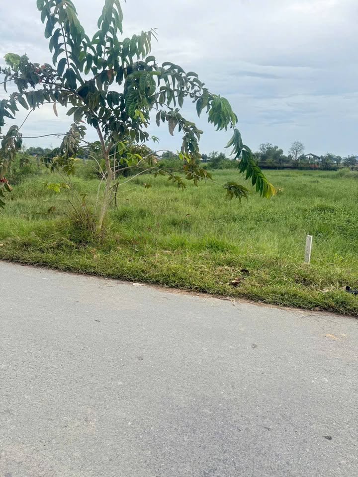 Đất mặt tiền 430m² tại Đức Lập Hạ, Long An - Khu vực kinh doanh sầm uất!