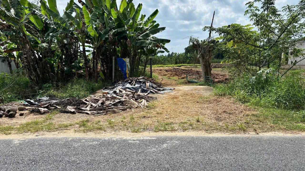 Đất nền Thới An Đông 155m² giá 599 triệu - Đầu tư sinh lời ngay!