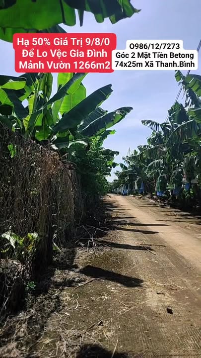 Đất nền 1266m² xã Bàu Hàm, Trảng Bom - Giá chỉ 900 triệu, sổ riêng!