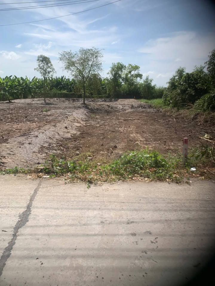 Đất nền 135m² tại Khu phố Minh Lạc, Châu Thành, An Giang - Giá chỉ 400 triệu, thương lượng ngay!