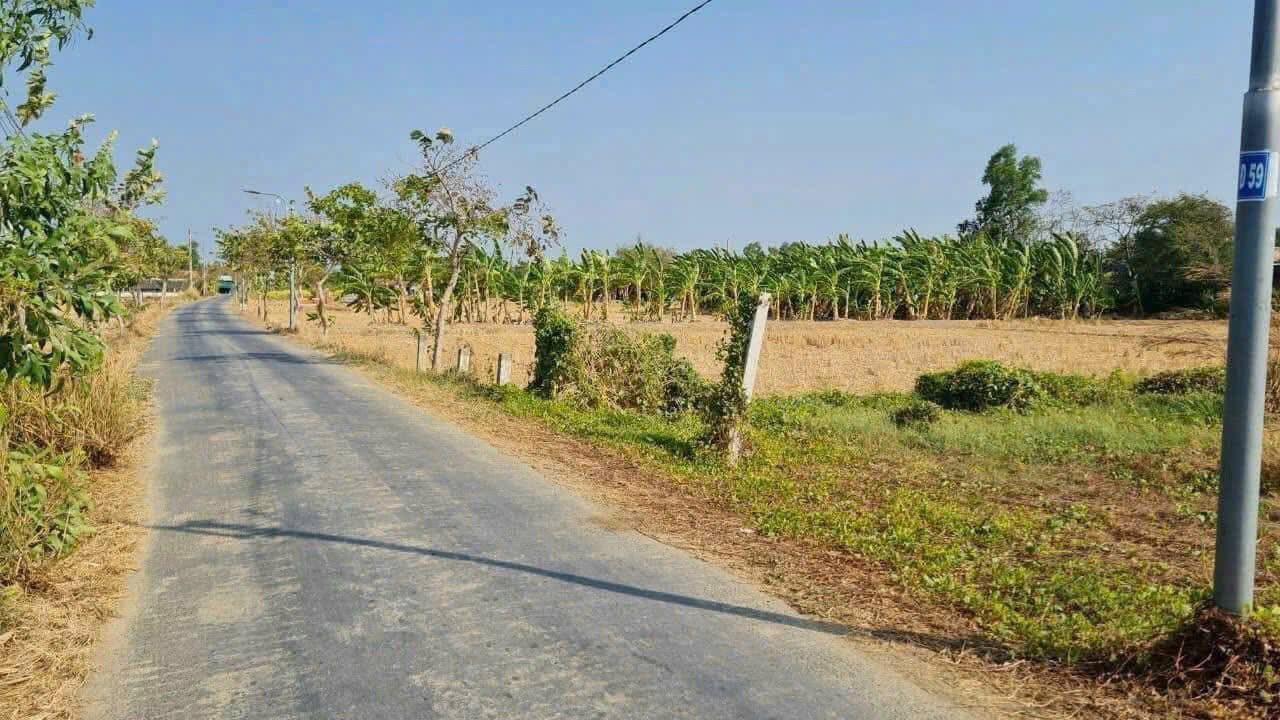 Đất thổ cư 185m² mặt tiền đường Đập Bến Trễ, Cần Đước - Chính chủ bán gấp giá 850 triệu!