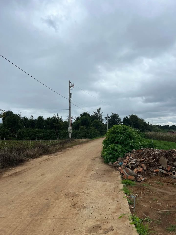 Đất thổ cư Liên Hiệp, Đức Trọng 242m² giá 1.1 tỷ - Đầu tư sinh lời ngay!