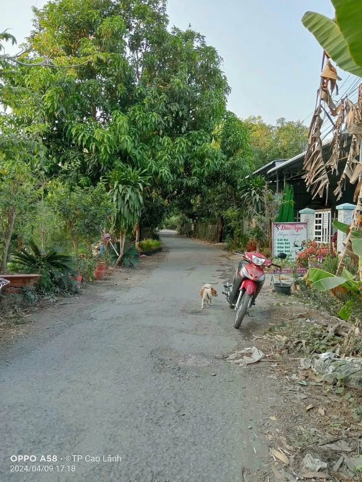 Đất nền mặt tiền đường Dương Thị Mỹ, 324m², giá 2.5 tỷ - Sổ hồng chính chủ!