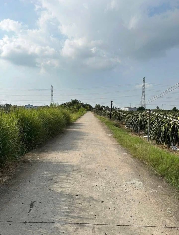 Đất thổ cư Vĩnh Công, Châu Thành, Long An 1000m² - Giá chỉ 1.25 tỷ, thích hợp nghỉ dưỡng!