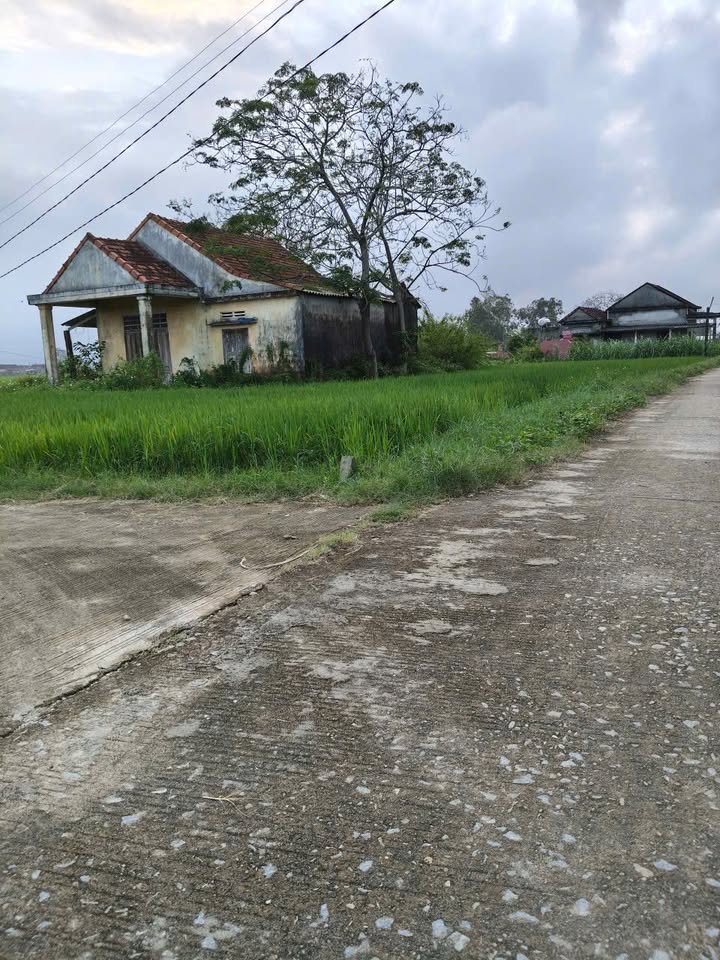 Đất nền 1100m² tại Đức Minh, Mộ Đức - Giá chỉ 700 triệu, gần biển!