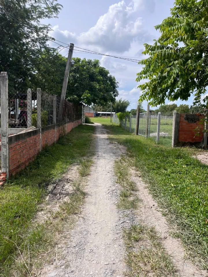 Đất nền Đức Hòa Thượng, Long An 125m² giá 850 triệu - Sổ hồng chính chủ