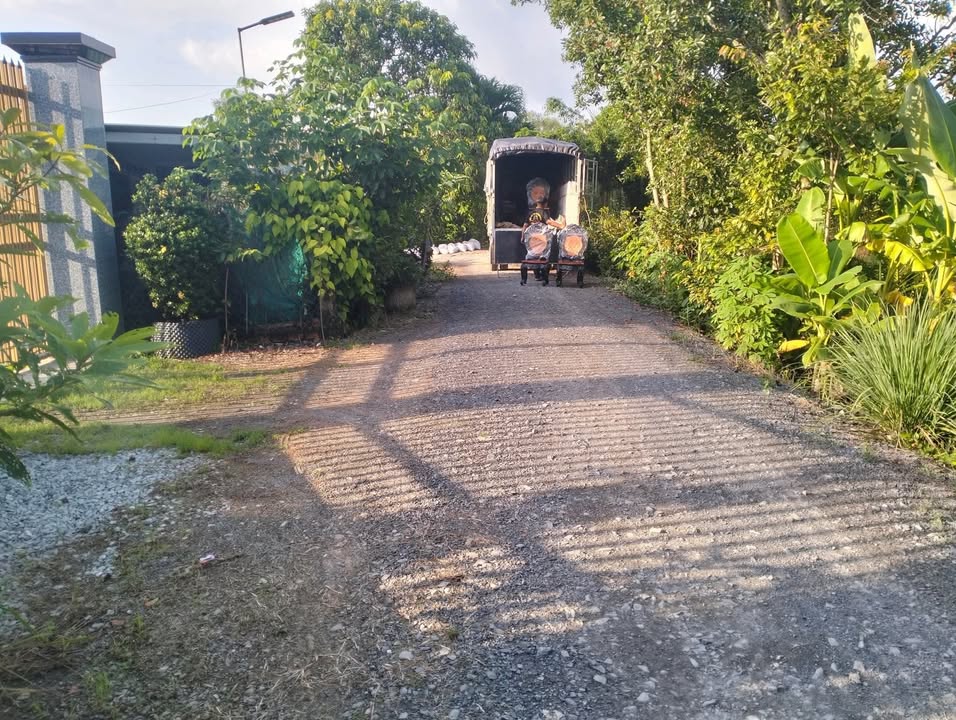 Đất thổ cư 436m² + đất lúa 1036m² tại ấp Long Thạnh, Thủ Thừa - Giá chỉ 1.5 tỷ!