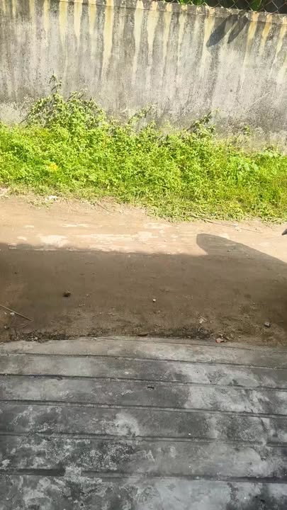 Nhà bán Mỹ Hạnh Nam, Đức Hòa 120m² giá 1.45 tỷ - Gần chợ và UBND xã!