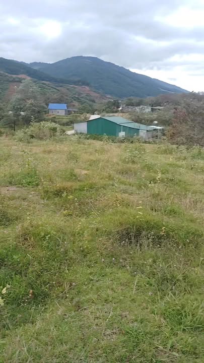 Đất nền Đạ Long, Đam Rông 720m² giá 400 triệu - Cơ hội đầu tư hấp dẫn!