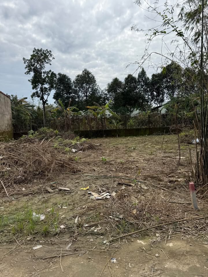 Đất nền phường Dương Nỗ, 97m² giá 900 triệu - Cơ hội đầu tư hiếm có!