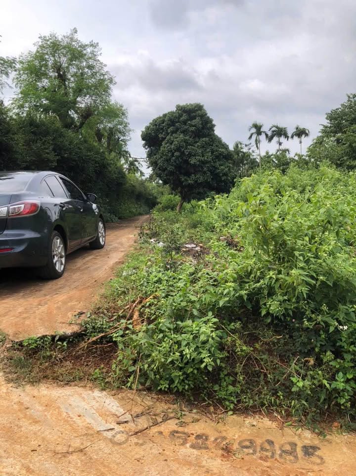 Đất thổ cư Tân An Buôn Ma Thuột 105m² giá chỉ 790 triệu - Cơ hội đầu tư hiếm có!