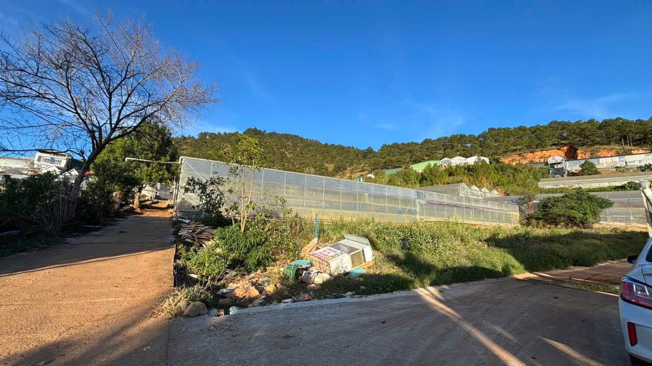 Đất nền Thái Phiên Đà Lạt 261m² giá chỉ 5.23 tỷ - Cơ hội đầu tư hiếm có!