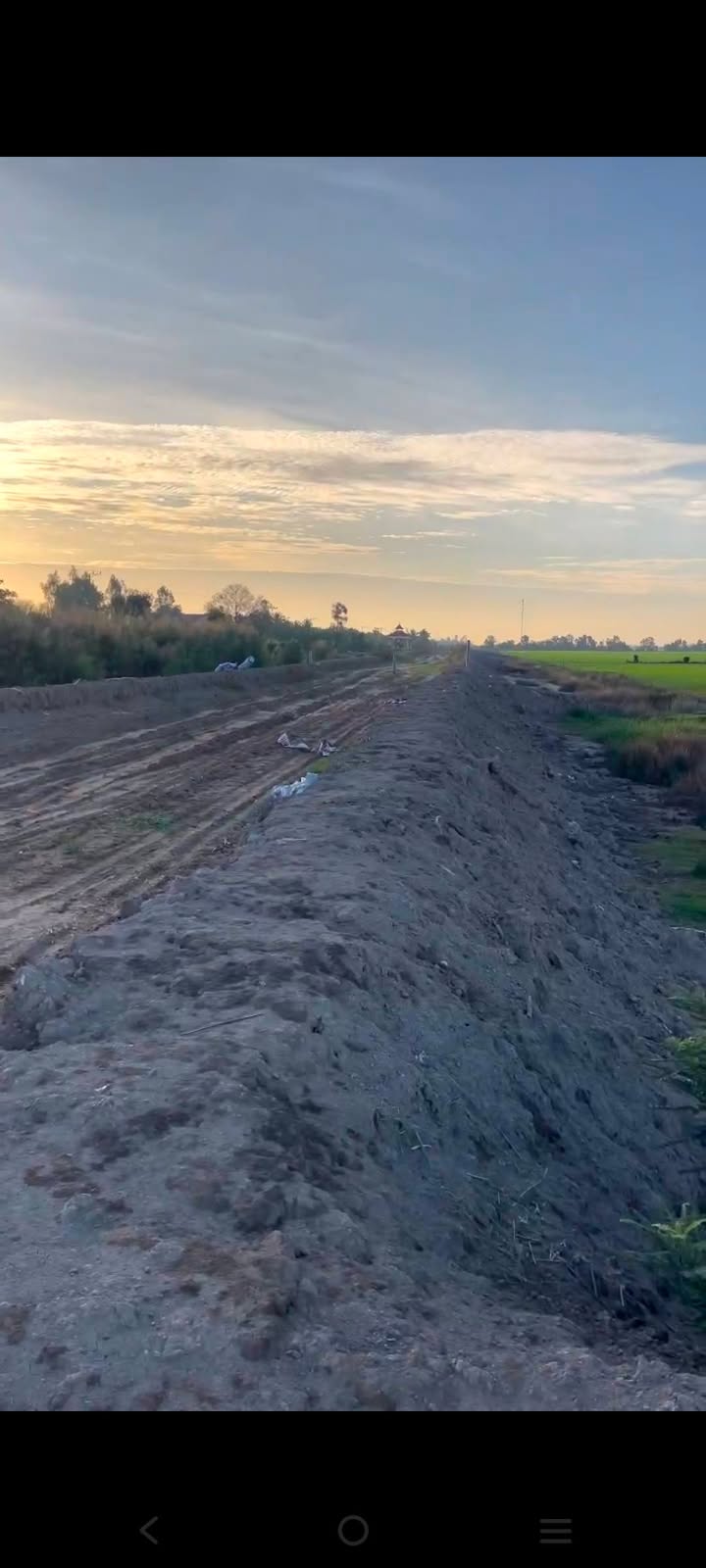 Đất nền Thanh Bình 8000m² giá chỉ 350 triệu - Phù hợp mở kho xưởng